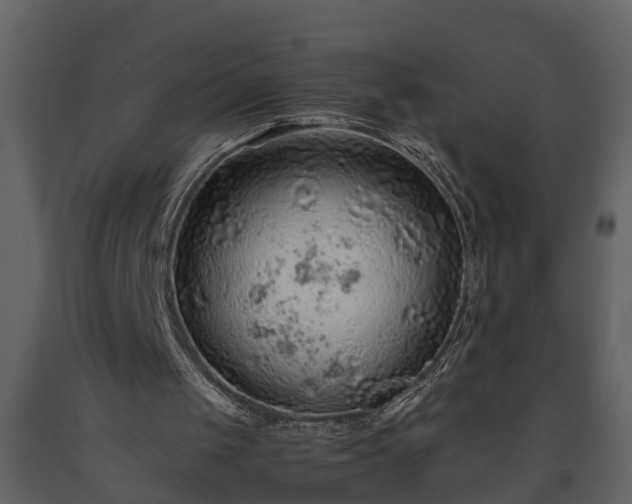X0000093440049200710191050