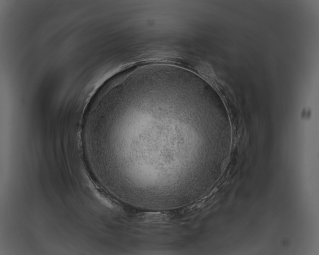 X0000093440050200710191050
