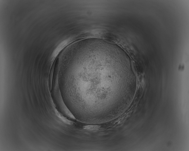 X0000093440051200710191050