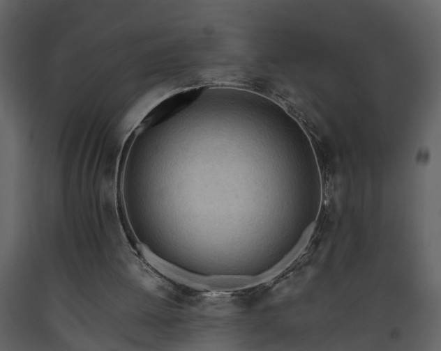 X0000093440052200710191050