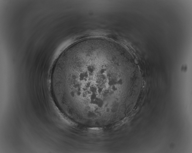 X0000093440053200710191050
