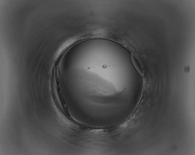 X0000093440054200710191050