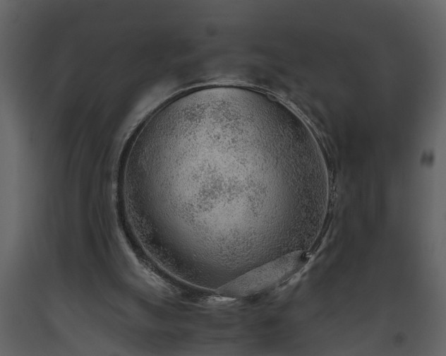 X0000093440055200710191050