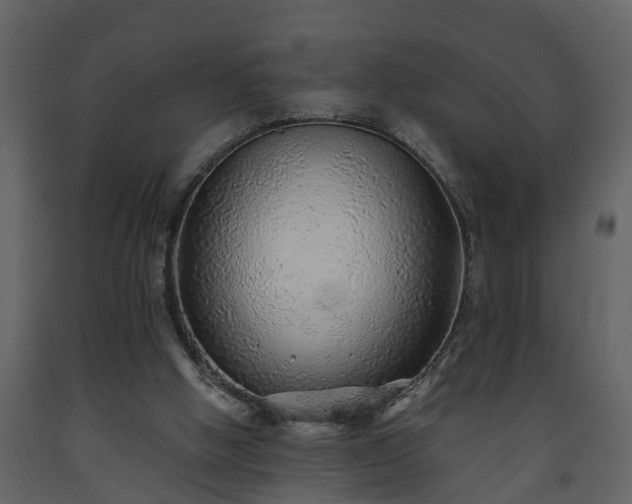 X0000093440058200710191050