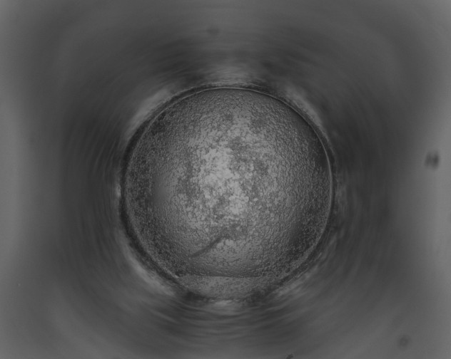 X0000093440059200710191050