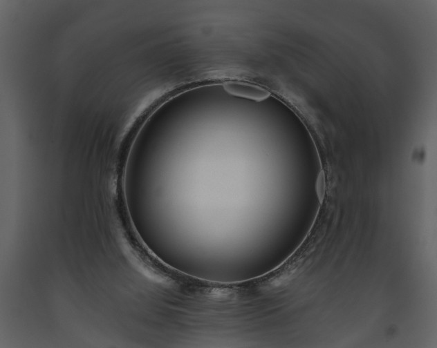 X0000093440060200710191050