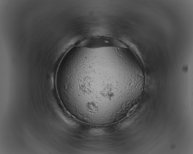 X0000093440061200710191050
