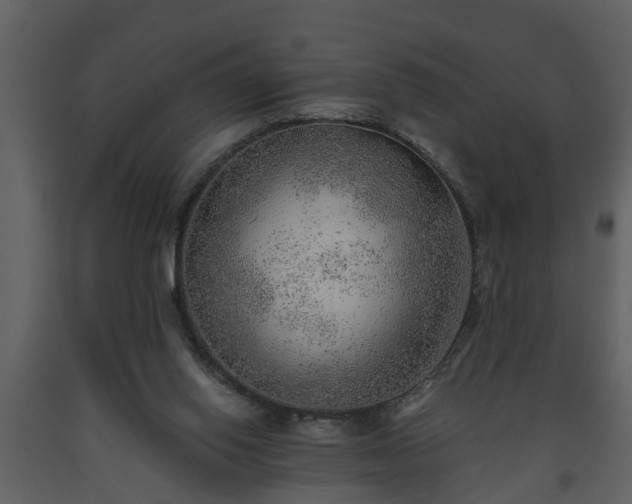 X0000093440062200710191050