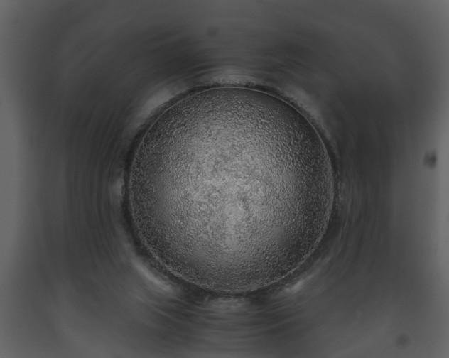 X0000093440063200710191050