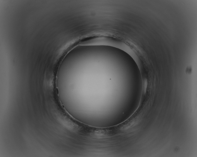 X0000093440064200710191050
