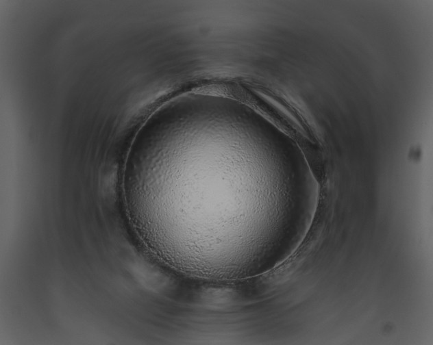 X0000093440066200710191050