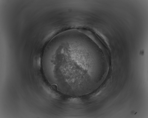 X0000093440067200710191050