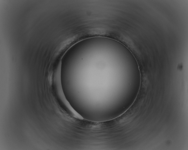X0000093440068200710191050