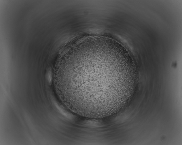 X0000093440069200710191050