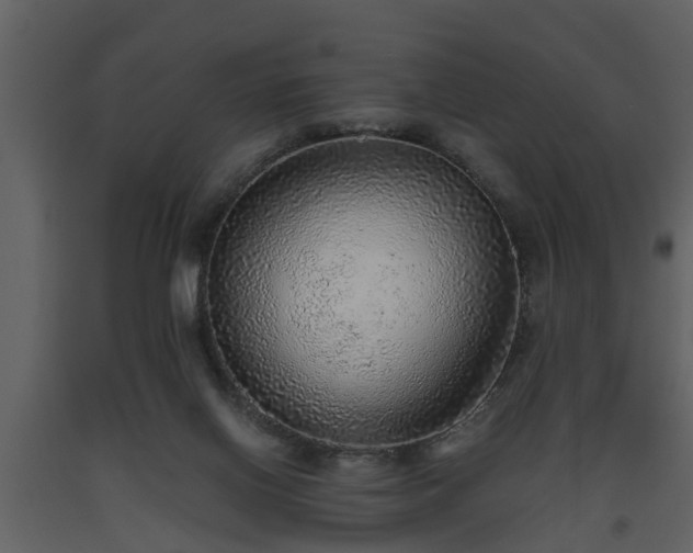 X0000093440070200710191050