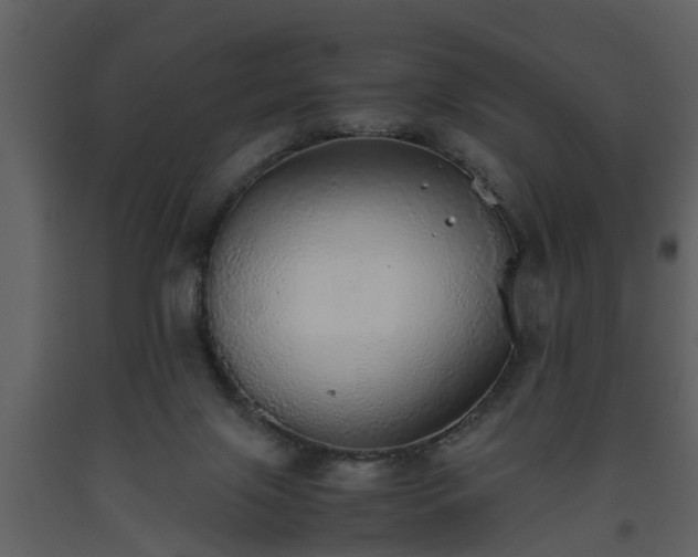 X0000093440071200710191050