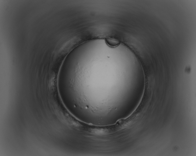 X0000093440073200710191050