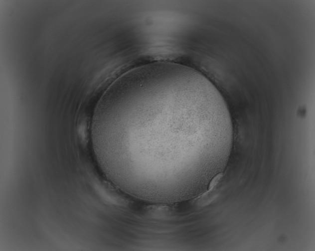 X0000093440074200710191050