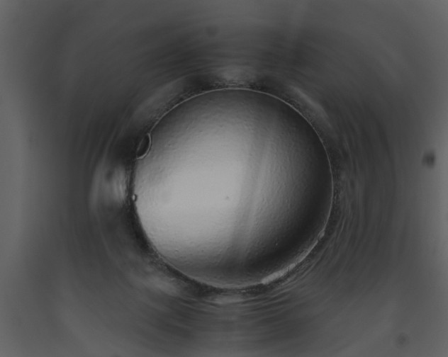 X0000093440075200710191050