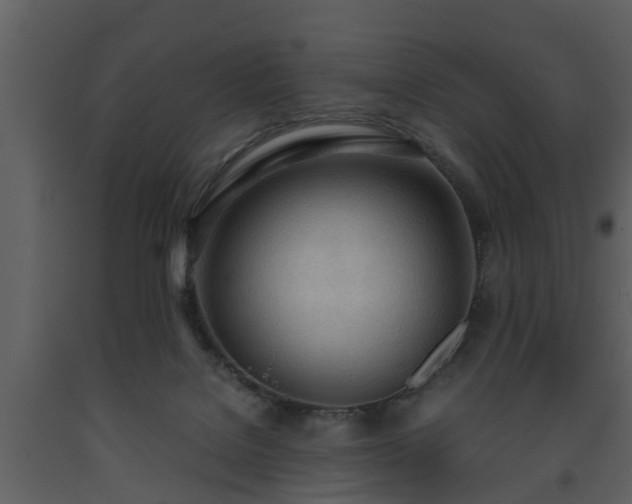 X0000093440076200710191050