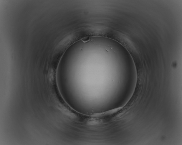 X0000093440077200710191050