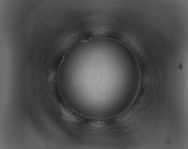X0000093440079200710191050