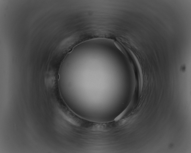 X0000093440080200710191050