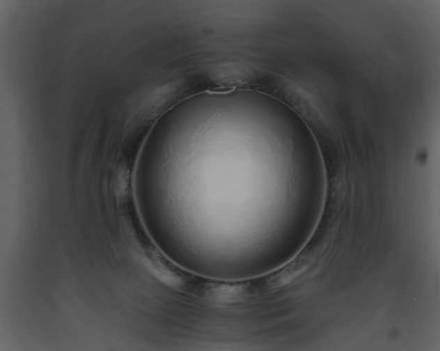 X0000093440081200710191050