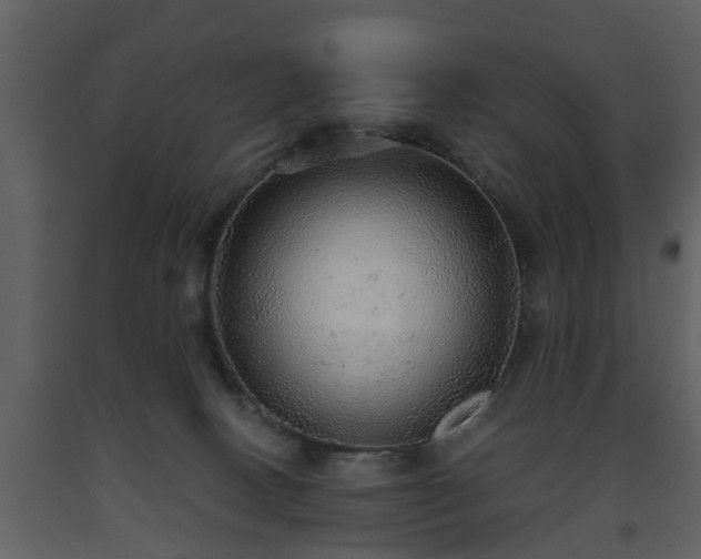 X0000093440082200710191050