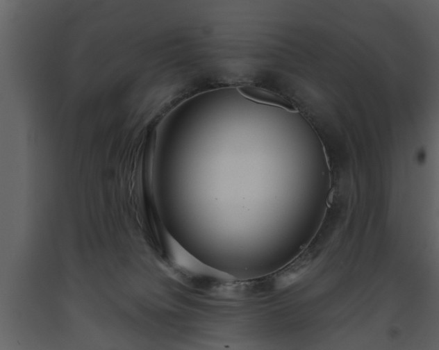 X0000093440084200710191050