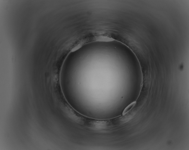 X0000093440085200710191050