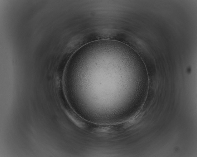 X0000093440086200710191050