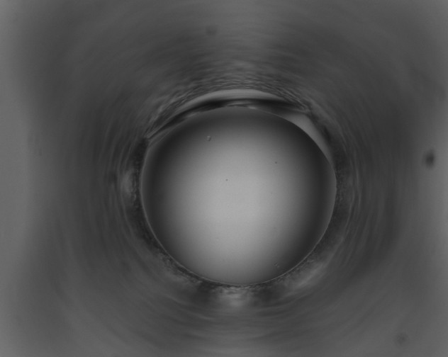 X0000093440088200710191050