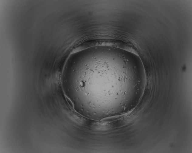 X0000093440093200710191050