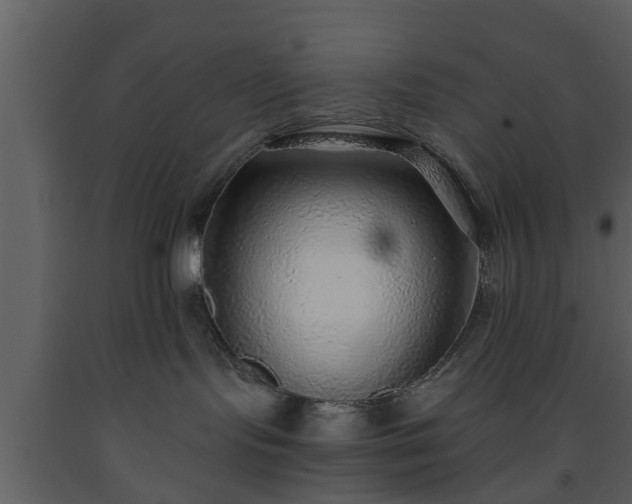X0000093440095200710191050