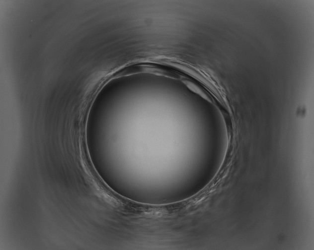 X0000093440097200710191050