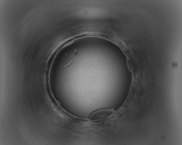 X0000093440098200710191050