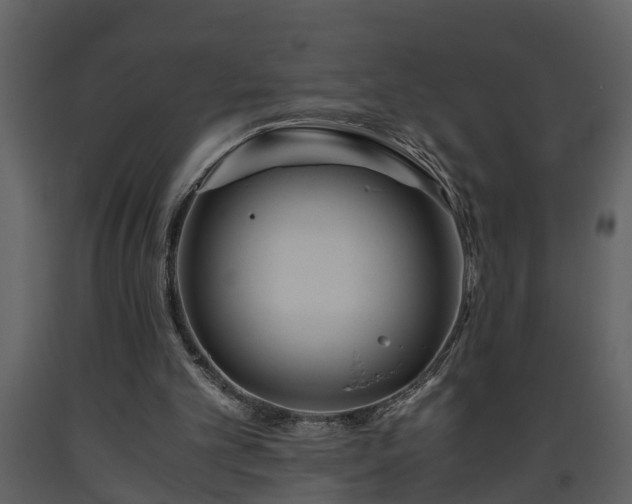 X0000093440101200710191049
