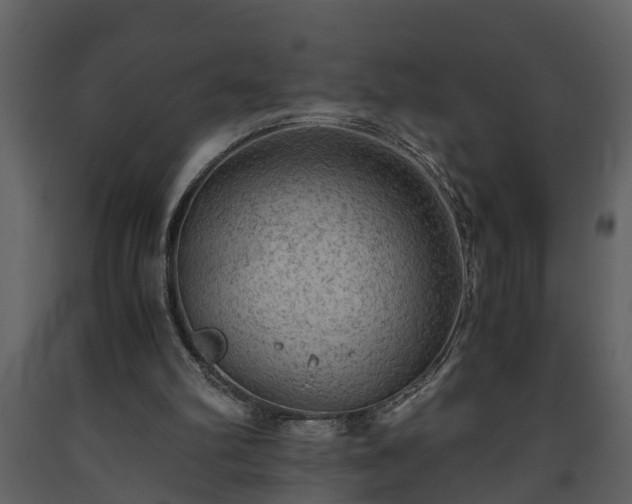 X0000093440102200710191049