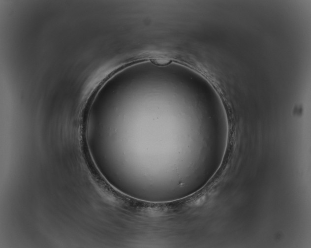 X0000093440103200710191049