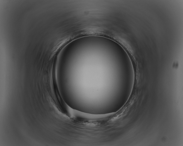 X0000093440105200710191049