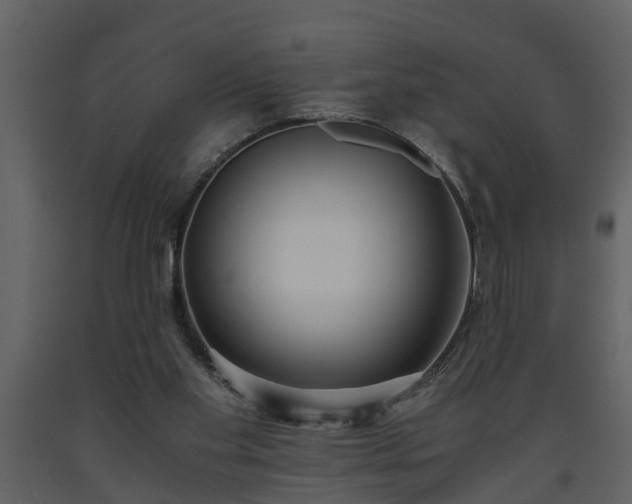 X0000093440109200710191049