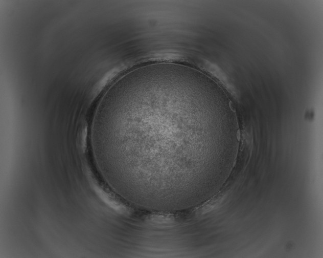 X0000093440110200710191049