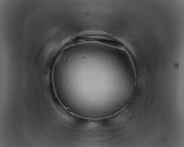 X0000093440111200710191049