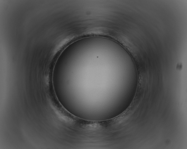 X0000093440112200710191049