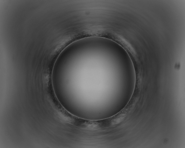X0000093440113200710191049