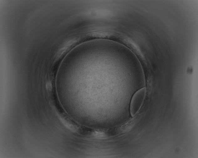 X0000093440114200710191049