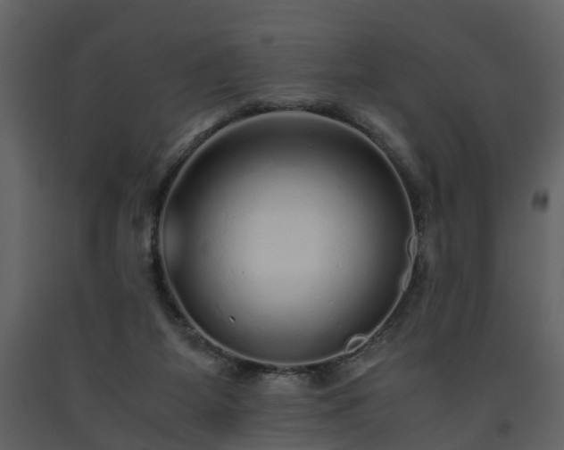 X0000093440115200710191049