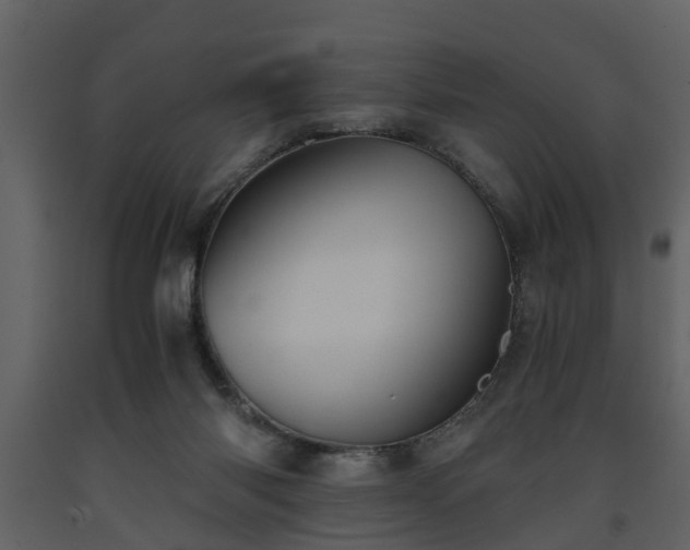 X0000093440118200710191049
