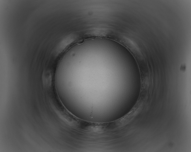 X0000093440120200710191049